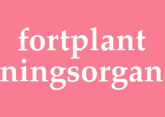 Synonym fortplantningsorgan