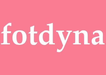 Synonym fotdyna