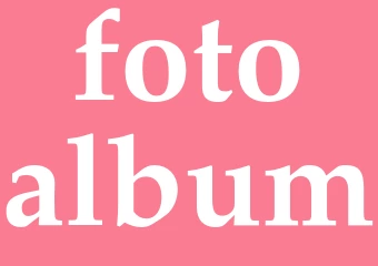 Synonym fotoalbum