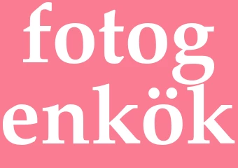 Synonym fotogenkök
