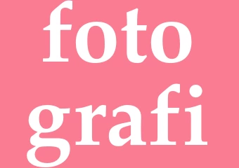 Synonym fotografi