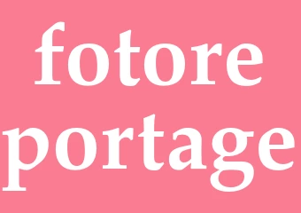 Synonym fotoreportage