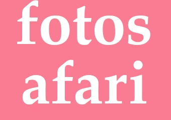 Synonym fotosafari