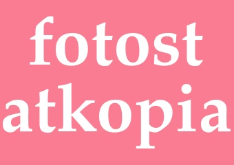 Synonym fotostatkopia