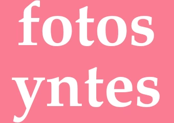 Synonym fotosyntes