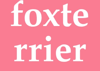 Synonym foxterrier