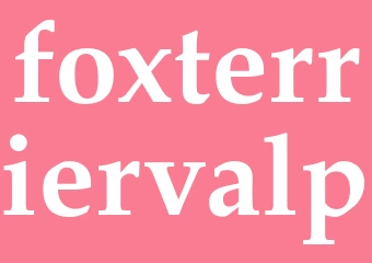 Synonym foxterriervalp
