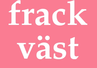 Synonym frackväst