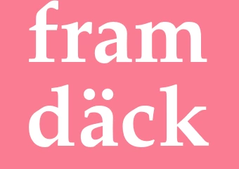 Synonym framdäck