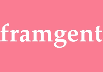 Synonym framgent