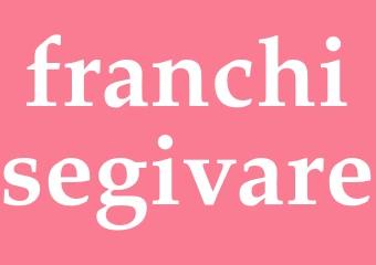 Synonym franchisegivare