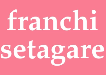 Synonym franchisetagare