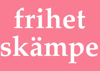Synonym frihetskämpe
