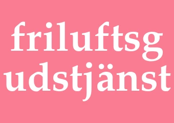 Synonym friluftsgudstjänst