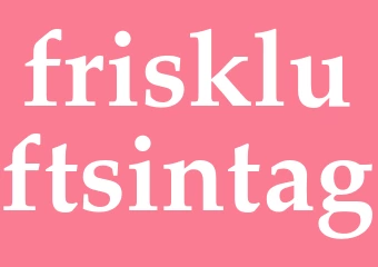 Synonym friskluftsintag