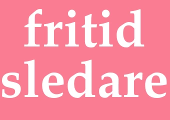 Synonym fritidsledare