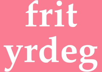 Synonym frityrdeg