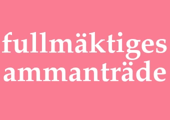 Synonym fullmäktigesammanträde
