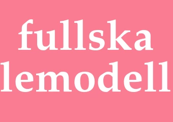Synonym fullskalemodell