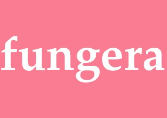Synonym fungera