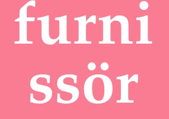 Synonym furnissör