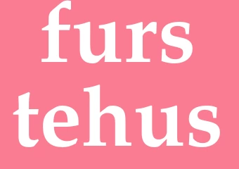 Synonym furstehus