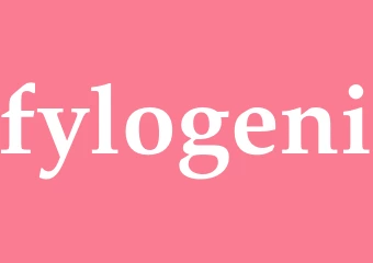 Synonym fylogeni