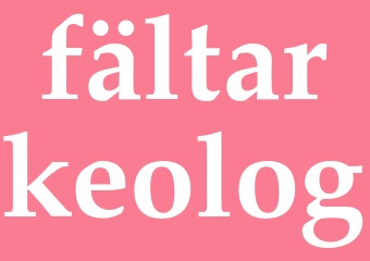 Synonym fältarkeolog