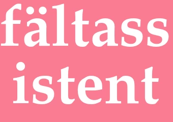 Synonym fältassistent