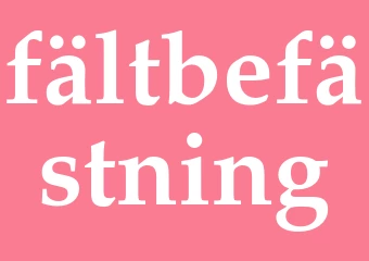 Synonym fältbefästning