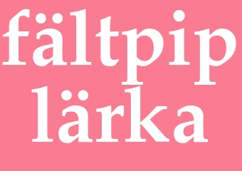 Synonym fältpiplärka
