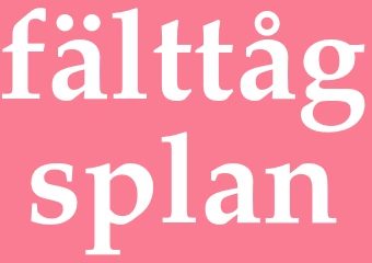 Synonym fälttågsplan