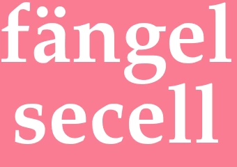 Synonym fängelsecell