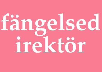 Synonym fängelsedirektör
