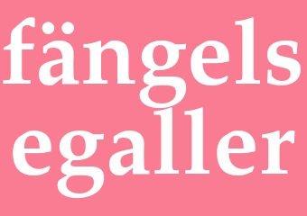 Synonym fängelsegaller