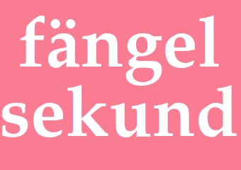 Synonym fängelsekund
