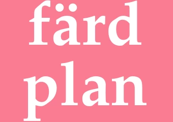 Synonym färdplan
