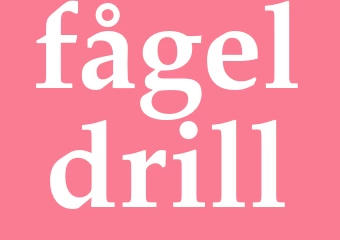 Synonym fågeldrill