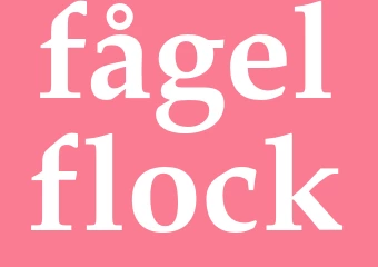 Synonym fågelflock