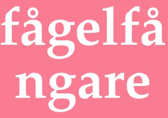 Synonym fågelfångare