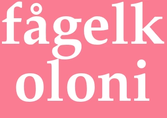 Synonym fågelkoloni