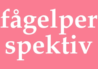 Synonym fågelperspektiv