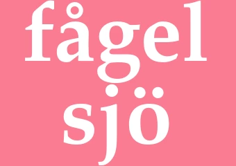 Synonym fågelsjö