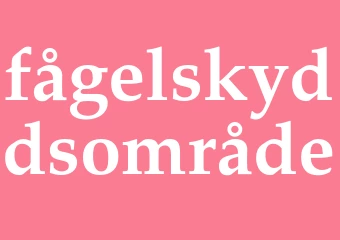 Synonym fågelskyddsområde