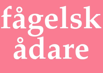 Synonym fågelskådare