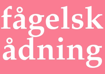 Synonym fågelskådning