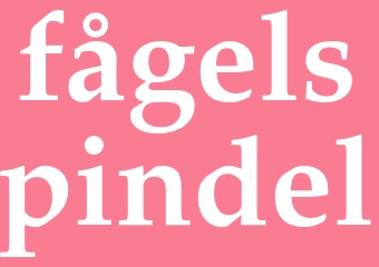 Synonym fågelspindel