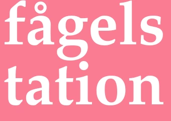 Synonym fågelstation