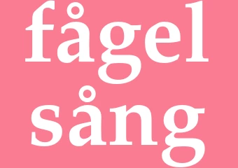 Synonym fågelsång