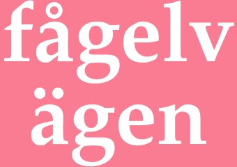 Synonym fågelvägen